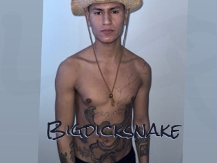 bigdicksnake Liquisexxx