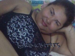 Bigmomtits