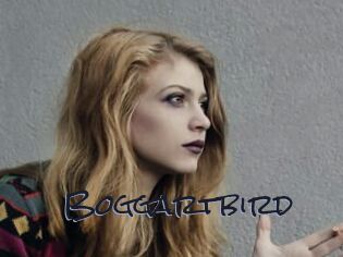 Boggartbird