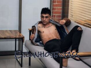 Brunhosbigass