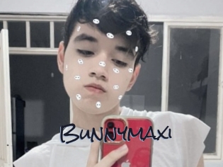 Bunnymaxi