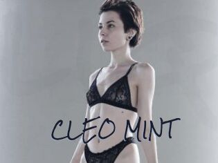 CLEO_MINT
