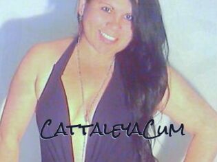 CattaleyaCum