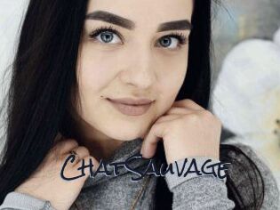 ChatSauvage