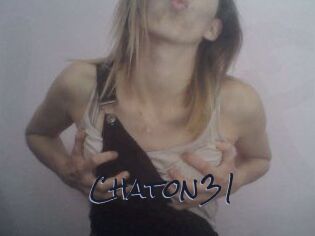 Chaton31