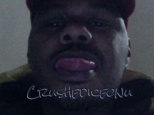 Crushediceonu