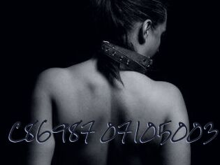 C86987-07105003