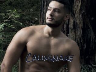 Calixsnake