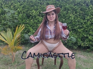 Camicasttle
