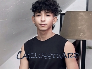 carlosstuard Liquisexxx