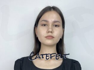 Catefelt