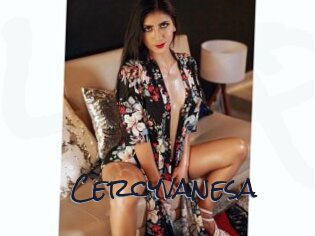 Cercyvanesa