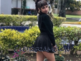 Cleirecamelon
