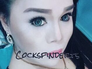 Cocksfinderts