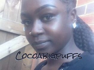 Cocoabigpuffs