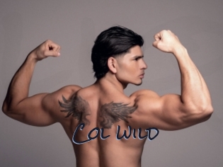 col_wild Liquisexxx
