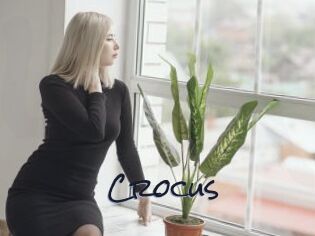 Crocus