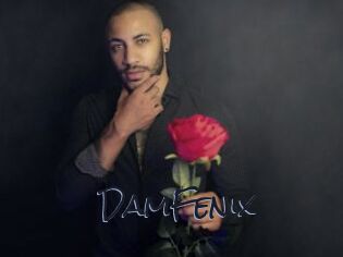 DamFenix