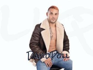 DavidPoll