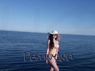 DestinyAnel