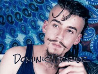DominicTerrier