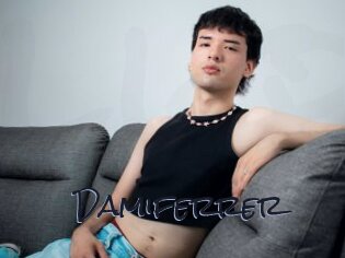 Damiferrer