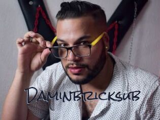 Daminbricksub