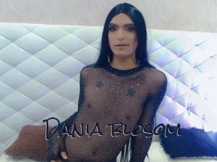 Dania_blosom