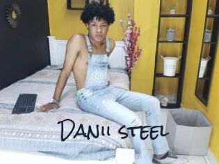Danii_steel