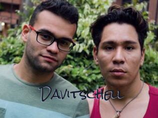 Davitschell