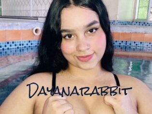 Dayanarabbit