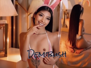 demibush Liquisexxx