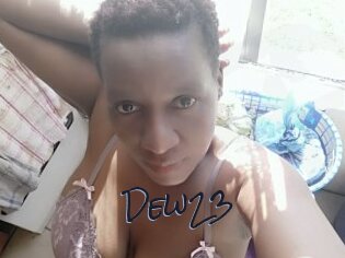 Dew23