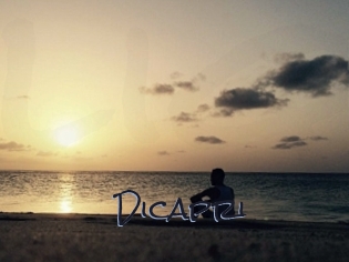 Dicapri
