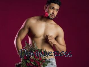 Dominicross