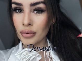 Domivip