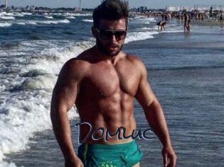 Domluc