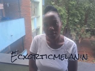 Ecxorticmelanin