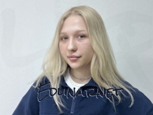 Edlinarnet