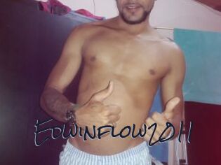Edwinflow2011