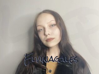 Elvinagales