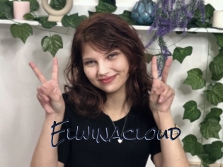 Elwinacloud