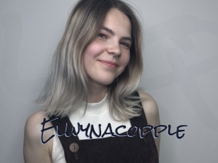 Elwynacopple