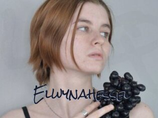 Elwynahessel