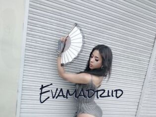 Evamadriid
