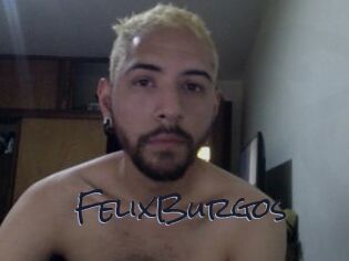 FelixBurgos