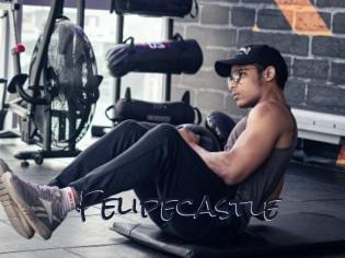 Felipecastle
