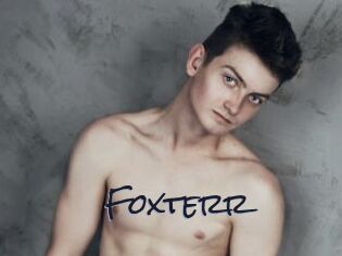 Foxterr