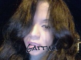 Gattina