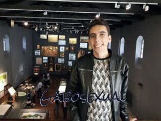 Gabosexual